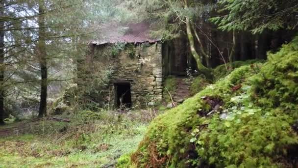 Budynki Derilict w Bonny Glen by Frosses w hrabstwie Donegal - Irlandia — Wideo stockowe