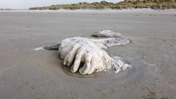 Baleia morta permanece deitada na praia de Narin por Portnoo Condado de Donegal, Irlanda. — Vídeo de Stock