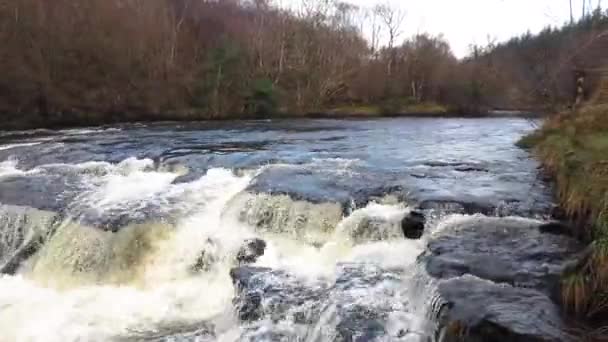 River Eany, Bonny Glen 'in güzel manzarasında Donegal' deki Frosses - İrlanda — Stok video