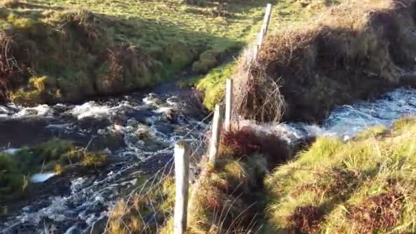 Hermoso arroyo que fluye bajo la valla en el Condado de Donegal - Irlanda — Vídeo de stock