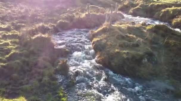 Hermoso arroyo que fluye bajo la valla en el Condado de Donegal - Irlanda — Vídeos de Stock