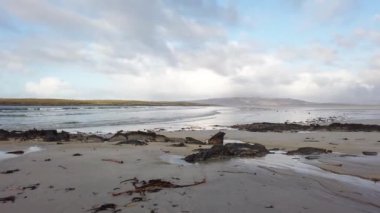 İrlanda 'nın Donegal ilçesindeki Portnoo Narin plajında yatan yosun..