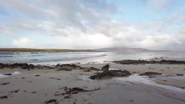 Sjögräs ligger på stranden Portnoo Narin i grevskapet Donegal, Irland. — Stockvideo