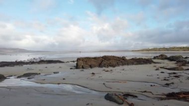 İrlanda 'nın Donegal ilçesindeki Portnoo Narin plajında yatan yosun..