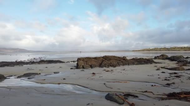 Algen am Strand von Portnoo Narin in der Grafschaft Donegal, Irland. — Stockvideo