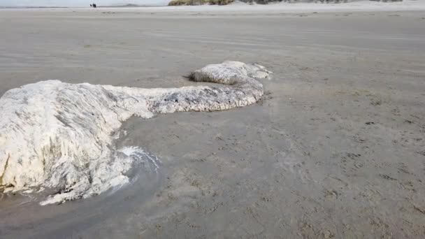 Morto balena rimane sdraiato sulla spiaggia di Narin da Portnoo Contea di Donegal, Irlanda. — Video Stock