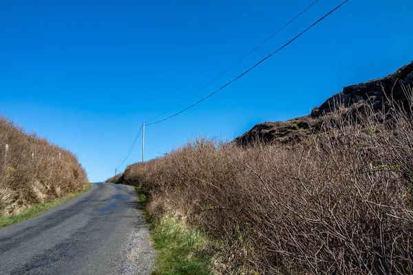 Utilidad Poste y líneas para el transporte de electricidad y comunicación a viviendas en la Irlanda rural — Foto de Stock