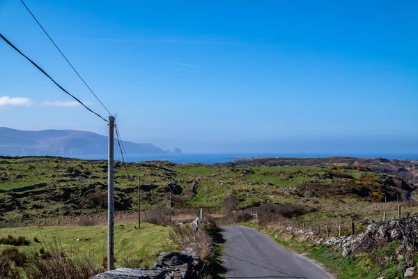 Utilidad Poste y líneas para el transporte de electricidad y comunicación a viviendas en la Irlanda rural — Foto de Stock