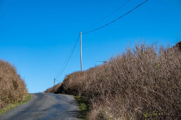 Utilidad Poste y líneas para el transporte de electricidad y comunicación a viviendas en la Irlanda rural — Foto de Stock