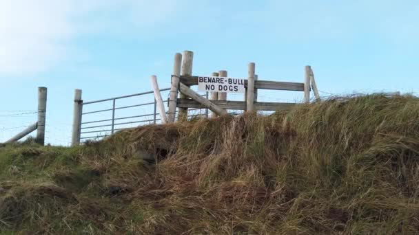 Teken waarschuwing Pas op voor de stier geen honden — Stockvideo