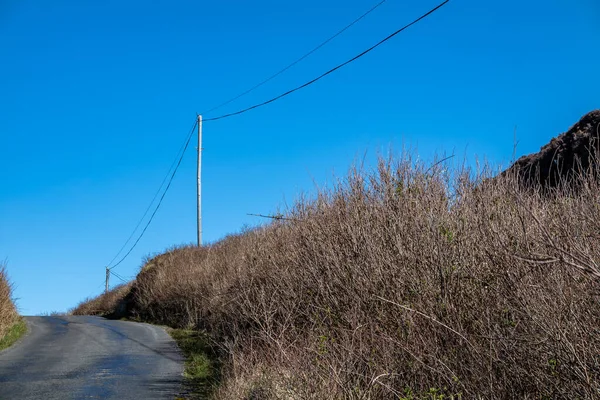 Utilidade Pólo e linhas para o transporte de electricidade e comunicação para habitações na Irlanda rural — Fotografia de Stock