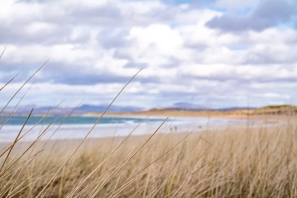 Wydmy w Portnoo, Narin, plaża w hrabstwie Donegal, Irlandia — Zdjęcie stockowe