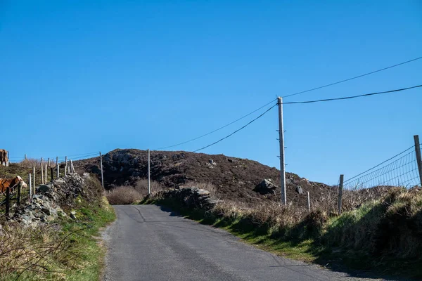 Utilidad Poste y líneas para el transporte de electricidad y comunicación a viviendas en la Irlanda rural — Foto de Stock