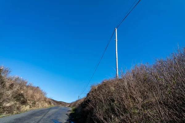 Biegun użyteczności publicznej i linie przesyłu energii elektrycznej i łączności do mieszkań na obszarach wiejskich Irlandii — Zdjęcie stockowe