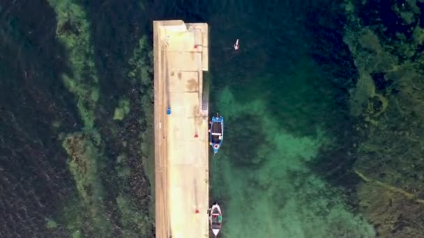 Dando um mergulho no cais do porto de Portnoo, no Condado de Donegal, Irlanda — Vídeo de Stock