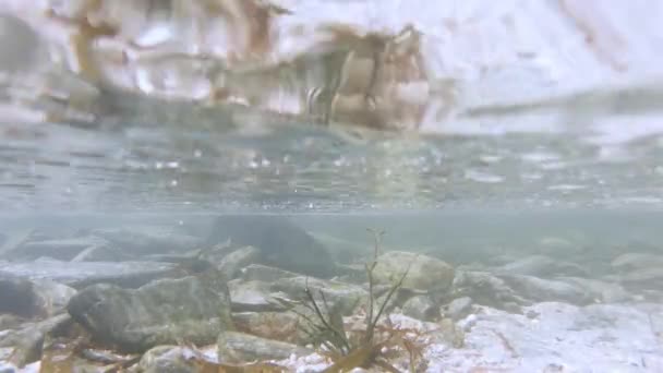 アイルランドの野生の大西洋の方法でドニゴール西海岸の水中ビュー — ストック動画