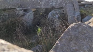 Donegal, İrlanda 'da Gelcolumbkille' in Malinmore Anıt Mezarı