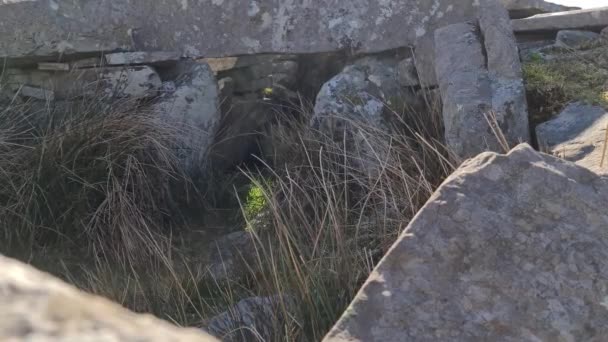 La tumba conmemorativa de Malinmore por Gelcolumbkille en Donegal, Irlanda — Vídeo de stock