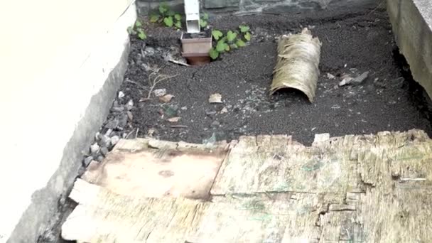 Złamane rury z powodu osadnictwa budynku na torfowisku — Wideo stockowe