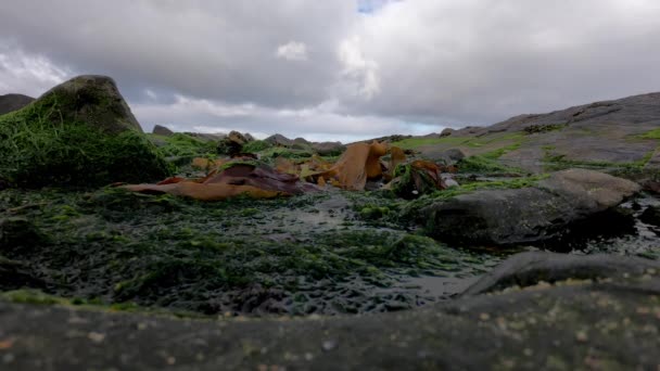 이 리쉬 해안에서 조류와 바위의 시간 경과 — 비디오