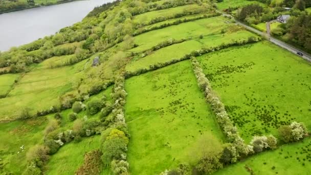 Vista aérea de campos junto a Glencar Lough en Irlanda — Vídeos de Stock