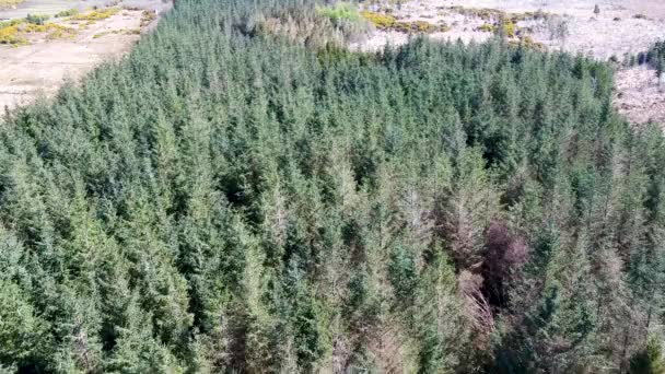 Aérea de bosque en un pantano por Clooney, Portnoo - Condado de Donegal, Irlanda. — Vídeo de stock