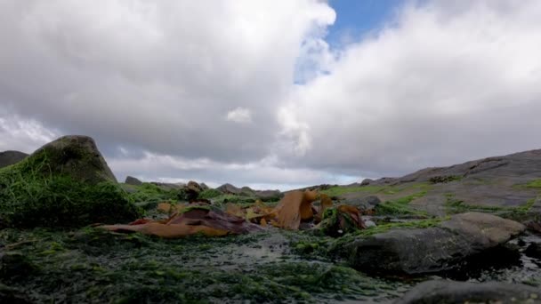 이 리쉬 해안에서 조류와 바위의 시간 경과 — 비디오