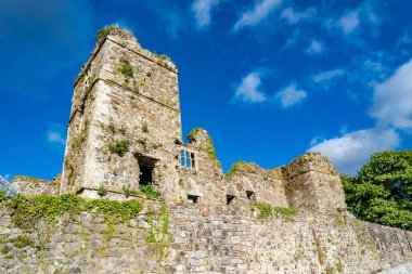 Manorhamilton 'daki şato harabeleri 1634' te Sör Frederick Hamilton tarafından dikildi.