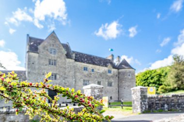 County Leitrim 'deki Parkes Kalesi bir zamanlar İngiliz ekici Robert Parke' ın eviydi.