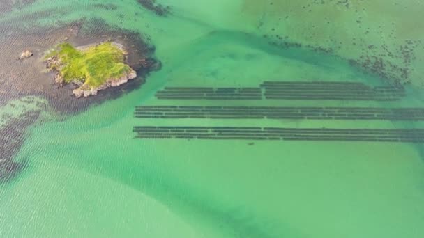 Vista aérea de la granja loyster por Ardara, Condado de Donegal - Irlanda — Vídeo de stock