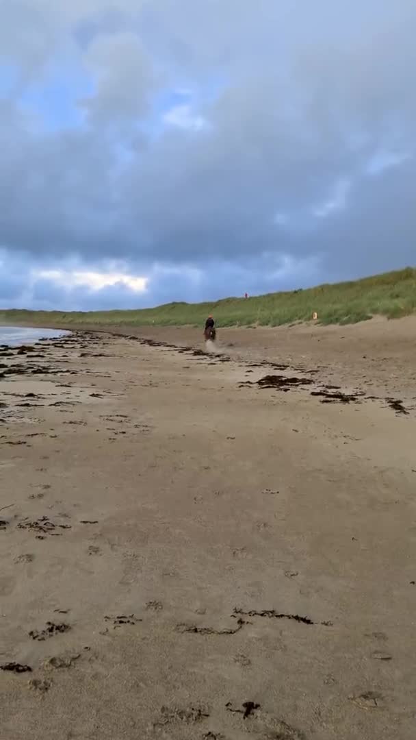 Équitation à la belle plage pendant le coucher du soleil dans le comté de Donegal - Irlande — Video