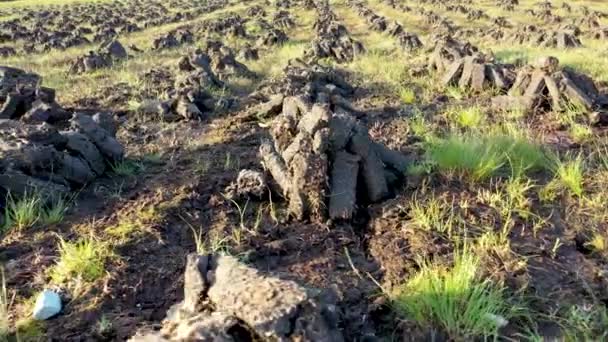 Turba apilada en un pantano de turba en el Condado de Donegal - Irlanda — Vídeos de Stock