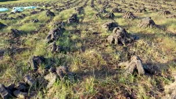 Donegal, Irlande - 11 août 2021 : Sacs remplis de tourbe sur la tourbière — Video