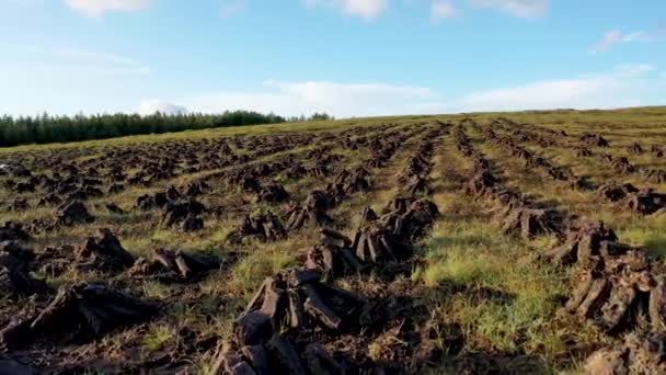ドニゴール州の泥炭地に堆積した泥炭地-アイルランド — ストック動画