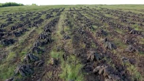 A tőzeglápon felhalmozott tőzeg Donegal megyében (Írország) — Stock videók