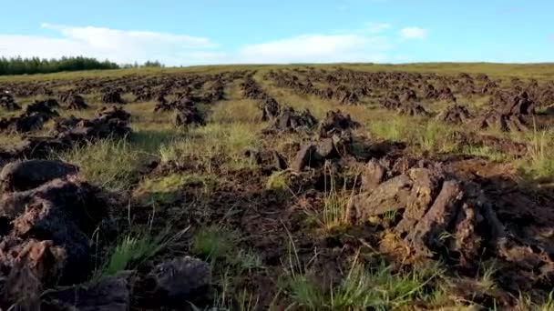 Turfa empilhada em um brejo de turfa no Condado de Donegal - Irlanda — Vídeo de Stock