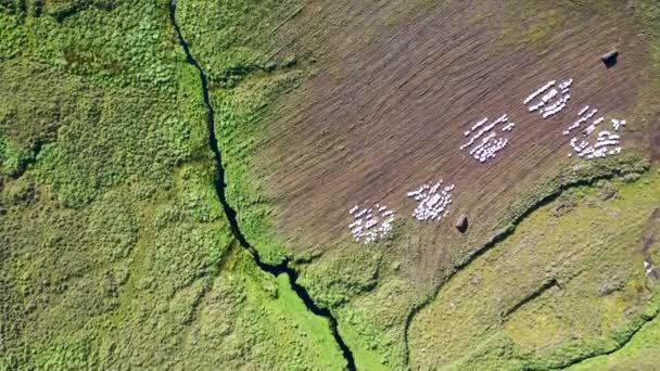 Fluxo que flui de Croaghacullion para um porto entre Ardara e Glencolumbkille no Condado de Donegal - Irlanda. — Vídeo de Stock