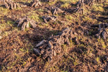 İlçe Donegal-İrlanda 'da turba bataklığına istiflenmiş turba.