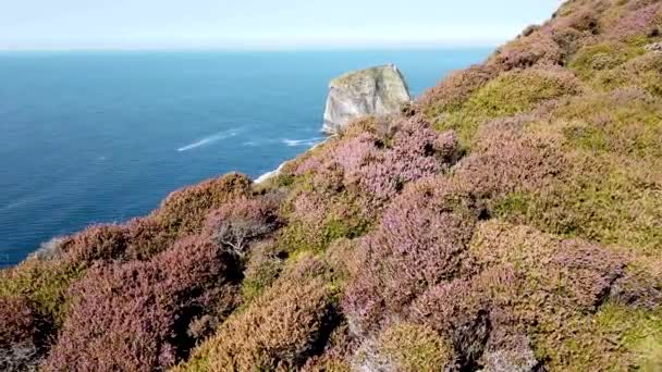 Tormore Island by Port tra Ardara e Glencolumbkille nella contea di Donegal - La pila di mare più alta d'Irlanda — Video Stock