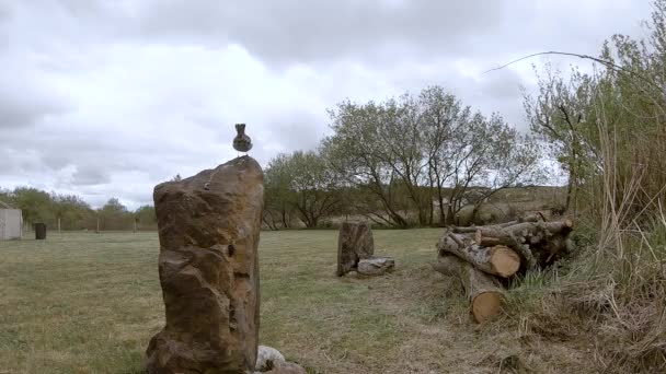 Red Robin avec veste en cuir grub à Donegal, Irlande — Video