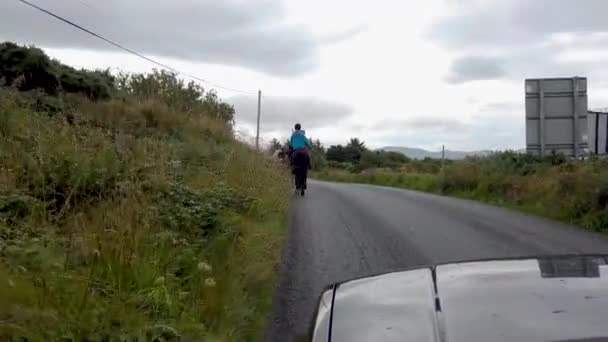 Portnoo County Donegal Ierland 20210826 Paarden Portnoo Ardara Road — Stockvideo
