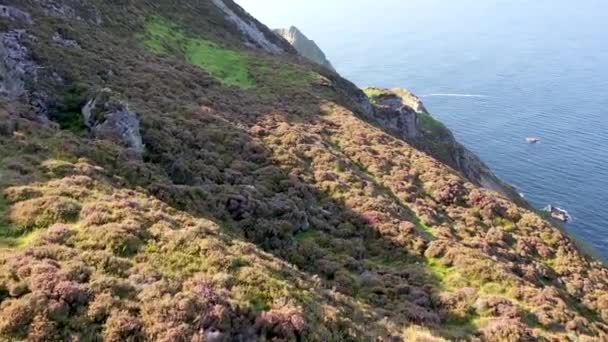 ドニゴール州のポートとアルダラの間のグレンラフ湾のコブラータワーの上を飛ぶことは、アイルランドで最も遠隔地の湾です — ストック動画