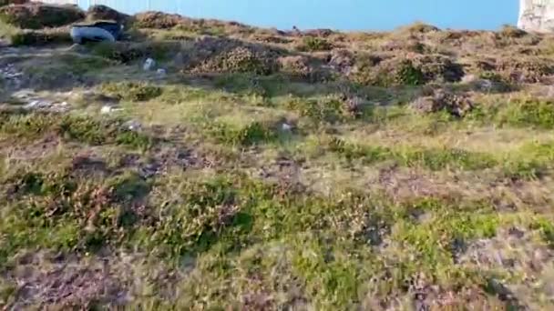 Vue Aérienne de Tormore Island by Port entre Ardara et Glencolumbkille dans le Comté de Donegal - La plus haute pile maritime d'Irlande — Video