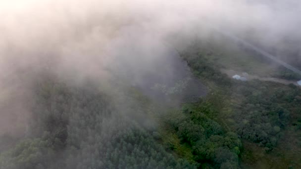 Nebel wälzt sich über Torfmoor an der irischen Küste bei Portnoo, County Donegal - Irland — Stockvideo