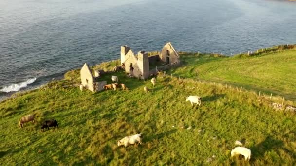 Los restos de la fábrica de algas de 1790 a 1805 Teach Dearg o la Casa Roja en Crohy head cerca de Maghery, Dunloe, Condado de Donegal - Irlanda — Vídeos de Stock