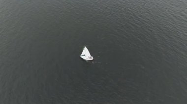 Kambur Balinalar, Megaptera novaeangliae, Donegal Körfezi, İrlanda 'daki yelkenli teknenin yanında..