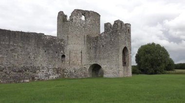 Trim kalesi İrlanda 'daki en büyük Anglo-Norman kalesidir..