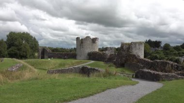 Trim kalesi İrlanda 'daki en büyük Anglo-Norman kalesidir..