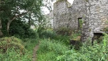 Trim kalesi İrlanda 'daki en büyük Anglo-Norman kalesidir..