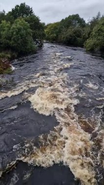 Ardara 'nın kıyısındaki Owenea Nehri, Donegal - İrlanda.